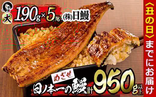 【丑の日までに配送】日ノ本一の鰻の蒲焼き<大>5尾セット(計950g以上) d3-001-us鹿児島県志布志市43000魚介・海産物うなぎ