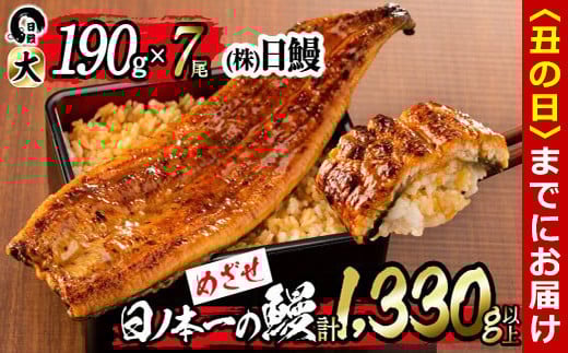 【丑の日までに配送】日ノ本一の鰻の蒲焼き<大>7尾セット(計1,330g以上) f0-034-us鹿児島県志布志市60000魚介・海産物うなぎ