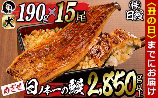【丑の日までに配送】日ノ本一の鰻の蒲焼き<大>計15尾セット(計2,850g以上) wa24-006-us鹿児島県志布志市124000魚介・海産物うなぎ