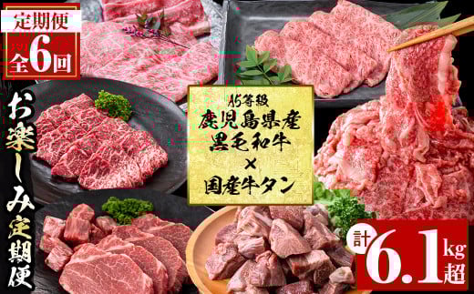 【定期便・全6回】<A5等級>鹿児島県産黒毛和牛&国産牛タンのお楽しみ牛肉定期便<計6.1kg超> 定期便 牛肉 肉 お楽しみ バラエティ 小分け 牛たん すき焼き しゃぶしゃぶ ステーキ 焼肉