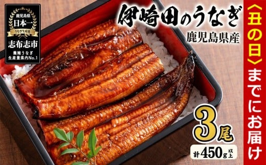 【丑の日までに配送】【数量限定】鹿児島県産 伊崎田のうなぎ蒲焼 中<150g以上>× 3尾(計450g以上) 鰻 うなぎ ウナギ 蒲焼き 3尾 国産 九州産 鹿児島県産 冷凍 おつまみ 鰻重 うな丼 b1-020-us鹿