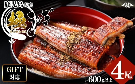 【お歳暮】【ギフト対応】楠田の極うなぎ 蒲焼き150g以上×4尾(計600g以上) b6-010-os鹿児島県志布志市26000魚介・海産物うなぎ