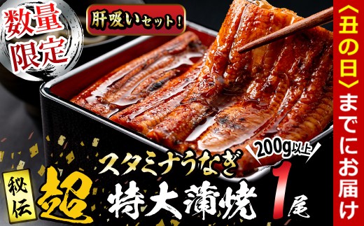 【丑の日までに配送】【数量限定】鹿児島県産!秘伝の特上スタミナうなぎ超特大蒲焼き1尾<200g以上!>肝吸いセット! a1-150-us鹿児島県志布志市11000魚介・海産物うなぎ