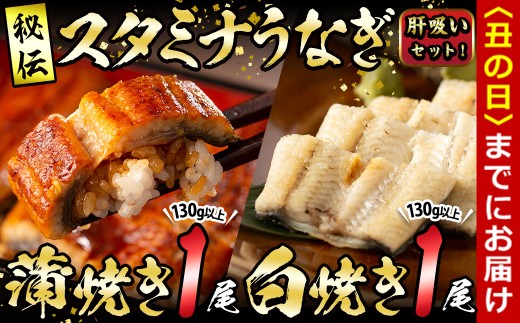 【丑の日までに配送】【数量限定】鹿児島県産!秘伝の特上スタミナうなぎ蒲焼き&白焼きセット!<計260g以上>肝吸いセット! a5-349-us鹿児島県志布志市15000魚介・海産物うなぎ
