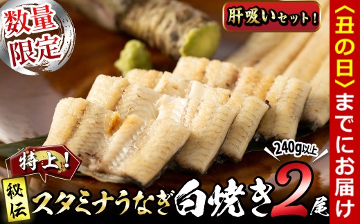 【丑の日までに配送】【数量限定】鹿児島県産!秘伝の特上スタミナうなぎ白焼き<2尾・計240g以上>肝吸いセット! a4-098-us鹿児島県志布志市14000魚介・海産物うなぎ