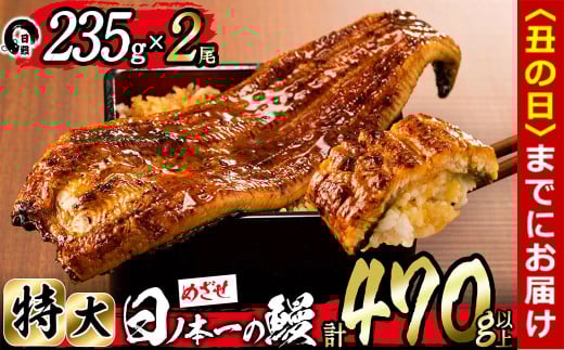 【丑の日までに配送】日ノ本一の鰻の蒲焼き<特大>2尾セット(計470g以上) b3-010-us鹿児島県志布志市23000魚介・海産物うなぎ