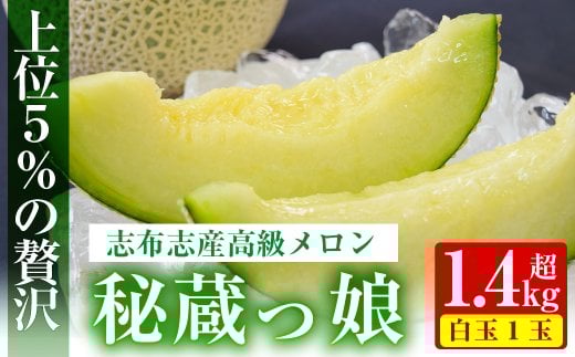 【冬限定】極上メロン「秘蔵っ娘」白玉(青肉)1個 メロン マスクメロン 果物 くだもの デザート 青肉 a5-059-w鹿児島県志布志市15000果物・フルーツメロン・スイカ