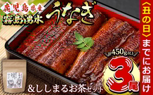 【丑の日までに配送】霧島湧水鰻3尾&ししまるお茶セット 霧島湧水鰻(156g以上×3尾)&緑茶ティーバッグ(3g×6個) 鹿児島県産 うなぎ ウナギ たれ タレ さんしょう 山椒 セット 緑茶 うな重 う