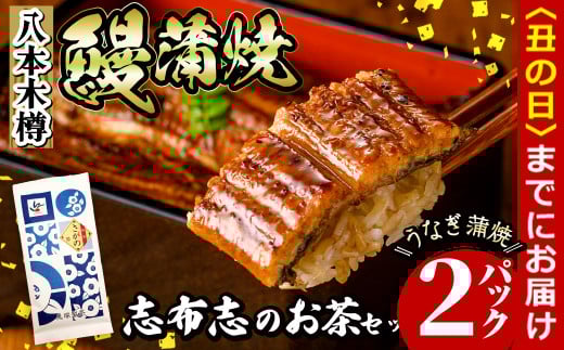 【丑の日までに配送】八本木樽鰻2尾&お茶セット うなぎ蒲焼(156g以上×2尾)&煎茶さがの(100g) 鰻 タレ たれ さんしょう 山椒付 お茶 緑茶 鹿児島県産 国産 セット 冷凍 おかず おつまみ お祝