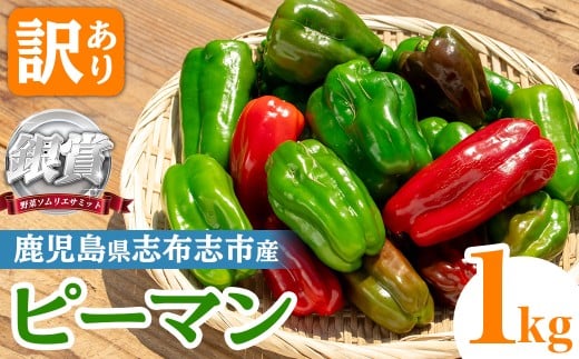志布志産訳ありピーマン(1kg) ピーマン 訳あり 野菜 やさい ぴーまん 新鮮 常温 常温保存 おかず 詰め合わせ 銀賞 銀賞受賞 野菜ソムリエサミット p5-050鹿児島県志布志市5000野菜・きのこその