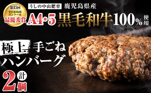 <A4・A5等級>鹿児島県産黒毛和牛100%使用 極上手ごねハンバーグ 計300g(150g×2個)p9-035鹿児島県志布志市9000肉牛肉