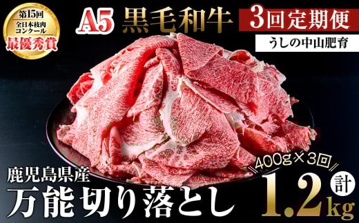 【定期便全3回】<A4・A5等級>黒毛和牛万能切り落とし肉 計1.2kg(400g×1P・全3回) 黒毛和牛 和牛 切り落とし 肉 牛肉 国産 九州産 鹿児島県産 すき焼き しゃぶしゃぶ 牛丼 小分け A5 日本一 ラン