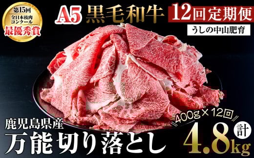 【定期便全12回】<A4・A5等級>黒毛和牛万能切り落とし肉 計4.8kg(400g×1P・全12回) 黒毛和牛 和牛 切り落とし 肉 牛肉 国産 九州産 鹿児島県産 すき焼き しゃぶしゃぶ 牛丼 小分け A5 日本一 ラ