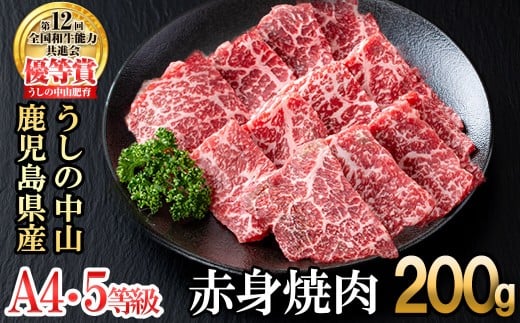 <A4・A5等級>鹿児島県産黒毛和牛 うしの中山 赤身焼肉用200g 黒毛和牛 和牛 肉 牛肉 国産 九州産 鹿児島県産 焼肉 赤身 日本一 a1-144鹿児島県志布志市11000肉牛肉