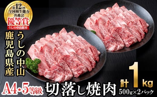 <A4・A5等級>鹿児島県産黒毛和牛 うしの中山 切り落とし焼肉用 計1kg(500g×2P) 黒毛和牛 和牛 肉 牛肉 国産 九州産 鹿児島県産 焼肉 日本一 c4-015鹿児島県志布志市34000肉牛肉