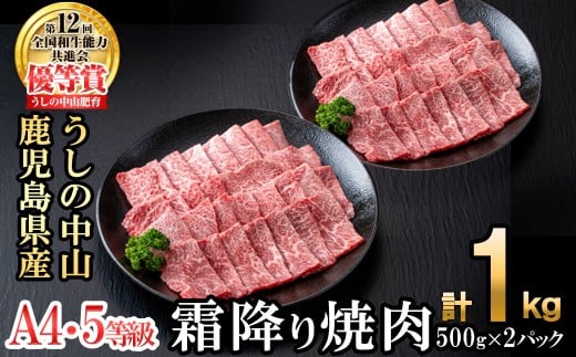 <A4・A5等級>鹿児島県産黒毛和牛 うしの中山 霜降り焼肉用 計1kg(500g×2P) 黒毛和牛 和牛 肉 牛肉 国産 九州産 鹿児島県産 焼肉 霜降り 日本一 c9-005鹿児島県志布志市39000肉牛肉