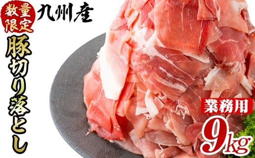 【工場直送 業務用】九州産豚切り落とし<計9kg(300g×30P)> 肉 国産 豚肉 切り落とし 国産 九州産 小分け 真空パック しゃぶしゃぶ c0-137鹿児島県志布志市30000肉豚肉