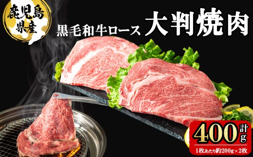 鹿児島県産 黒毛和牛大判ロース(1枚あたり約200g×2枚 計400g) 牛肉 牛 国産 肉 黒毛和牛 ロース 焼肉 BBQ 鉄板 鉄板焼き 焼肉丼 大判 冷凍 a5-333鹿児島県志布志市15000肉牛肉