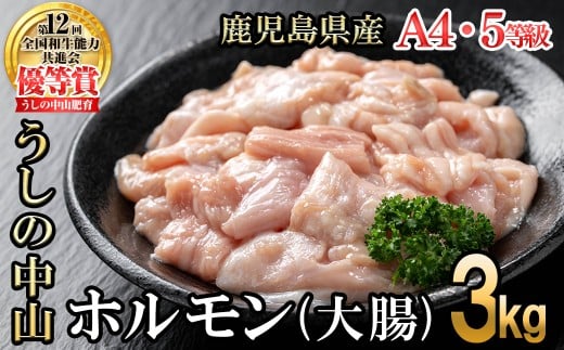 うしの中山 A4・A5等級黒毛和牛 ホルモン(大腸) 計3kg(500g×6袋)黒毛和牛 和牛 肉 牛肉 国産 九州産 鹿児島県産 ホルモン 焼肉 日本一 c0-135鹿児島県志布志市30000肉牛肉