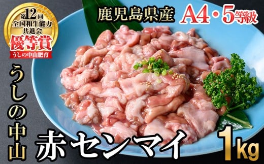 うしの中山 A4・A5等級黒毛和牛 赤センマイ(ギアラ)計1kg(500g×2P)黒毛和牛 和牛 肉 ホルモン 国産 九州産 鹿児島県産 焼肉 煮込み 鍋料理 もつ鍋 日本一 a5-345鹿児島県志布志市15000肉牛肉