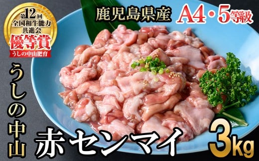 うしの中山 A4・A5等級黒毛和牛 赤センマイ(ギアラ)計3kg(500g×6P)黒毛和牛 和牛 肉 ホルモン 国産 九州産 鹿児島県産 焼肉 煮込み 鍋料理 もつ鍋 日本一 c0-132鹿児島県志布志市30000肉牛肉