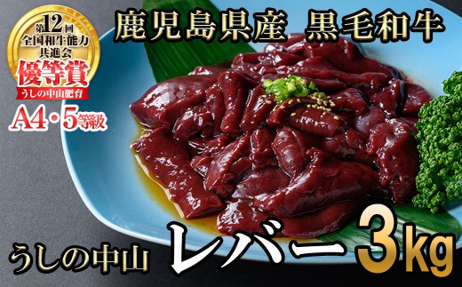 うしの中山 A4・A5等級黒毛和牛 レバー 計3kg(500g×6P)黒毛和牛 和牛 肉 ホルモン 国産 九州産 鹿児島県産 焼肉 炒め物  牛レバー 冷凍 日本一 c0-133鹿児島県志布志市30000肉牛肉