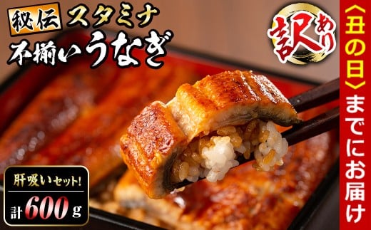 【丑の日までに配送】【訳あり】鹿児島県産!秘伝のスタミナうなぎ蒲焼き<計600g以上/4尾以上>肝吸いセット! c0-138-us鹿児島県志布志市30000魚介・海産物うなぎ