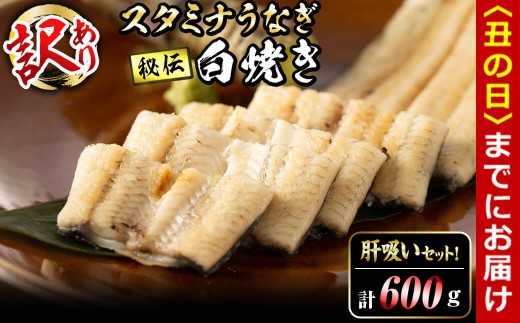 【丑の日までに配送】【訳あり】鹿児島県産!秘伝の特上スタミナうなぎ白焼き<計600g以上/4尾以上>肝吸いセット! c1-014-us鹿児島県志布志市31000魚介・海産物うなぎ