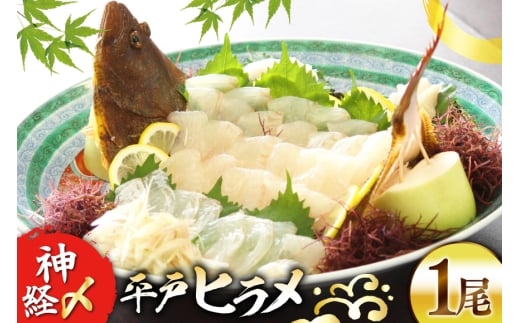 q _oY˂Ђ 1 1 ~ 1.5kg  [C~Y 茧 ˎs hr42bgy400107] q g {B Yn hg h tC Ђ茧ˎs24000ECYL