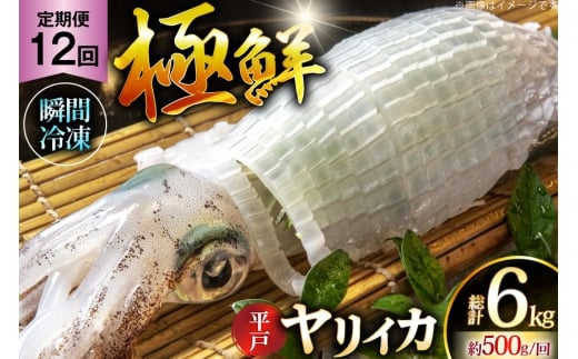 CJ hg ɑN CJ v6.0kgi500g×12j 12  [C 茧 ˎs hr42bgy400086] ܂ CJ VN CN  uԗⓀ Ⓚ RR  Ⓚ  ^pbN茧