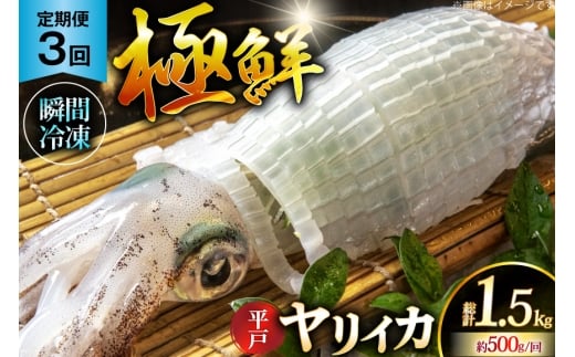 CJ hg ɑN CJ v1.5kgi500g×3j 3  [C 茧 ˎs hr42bgy400090] ܂ CJ VN CN  uԗⓀ Ⓚ RR  Ⓚ  ^pbN茧