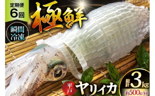CJ hg ɑN CJ v3.0kgi500g×6j  6  [C 茧 ˎs hr42bgy400091] ܂ CJ VN CN  uԗⓀ Ⓚ RR  Ⓚ  ^pbN茧