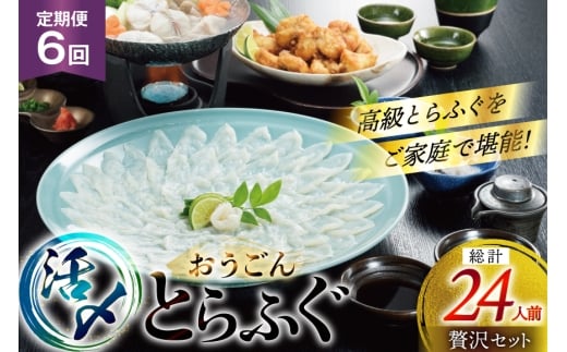 ӂ hg ӂZbg Y Ƃӂ ґZbg 4lO 6  [iY 茧 ˎs hr42bgy400073] ӂh Ƃӂ tO ͓ Ă Ă ӂ   