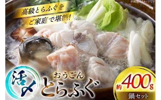 ӂ  Zbg Y Ƃӂ Zbg 400g [iY 茧 ˎs hr42bgy400155] Ƃӂ tO ͓ Ă ӂ ӂ   ؂g Ⓚ CN ӂ g |