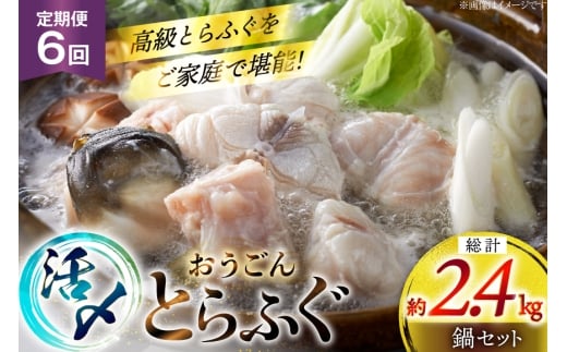 ӂ  Zbg Y Ƃӂ Zbg 400g 6  v 2.4kg [iY 茧 ˎs hr42bgy400159] Ƃӂ tO ͓ Ă ӂ ӂ   ؂g Ⓚ