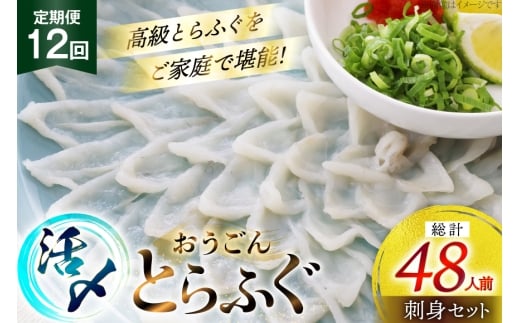 ӂ hg Zbg Y Ƃӂ hgZbg 4lO 12  [iY 茧 ˎs hr42bgy400166] ӂh Ƃӂ tO ͓ Ă   hg hgp  Ⓚ 