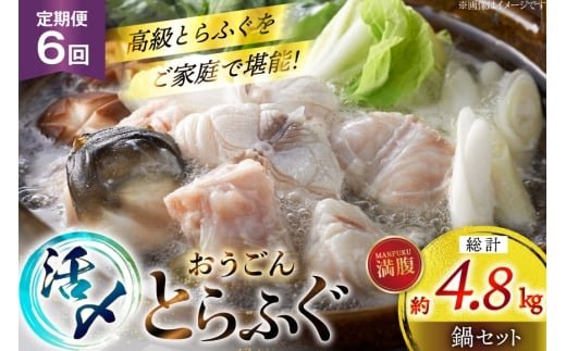 ӂ  Zbg Y Ƃӂ  Zbg 800g 6  v 4.8kg [iY 茧 ˎs hr42bgy400188] Ƃӂ tO ͓ Ă ӂ ӂ   ؂g