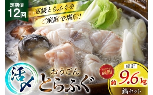 ӂ  Zbg Y Ƃӂ  Zbg 800g 12  v 9.6kg [iY 茧 ˎs hr42bgy400189] Ƃӂ tO ͓ Ă ӂ ӂ   ؂g