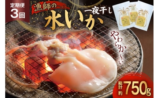  銱   t̐G銱 2`3 250g 3  v750g [싙 茧 ˎs hr42bgy400077] CJ   Ⓚ茧ˎs36000ECY