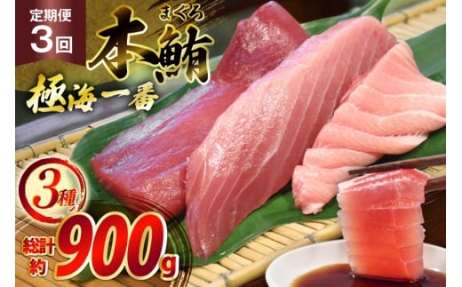 }O ؂g ɊC 3 Zbg 300g 3  v900g lߍ킹 Hה [͘FGrX 茧 ˎs hr42bgy390027] ܂ hg  Ԑg Ƃ g  ܂ Ⓚ 