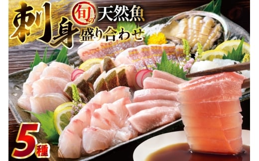 hg 荇킹 {̓VR̎hg 5 2`3lO Zbg Hה lߍ킹 [͘FGrX 茧 ˎs hr42bgy390029]  I }_C ^ {}O VR ܂  Ⓚ i