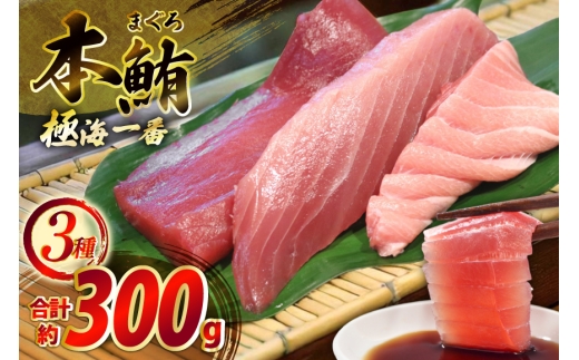}O ؂g ɊC 3 Zbg v300g Hה lߍ킹 [͘FGrX 茧 ˎs hr42bgy390056] ܂ hg  Ԑg Ƃ g  ܂ Ⓚ  i 茧