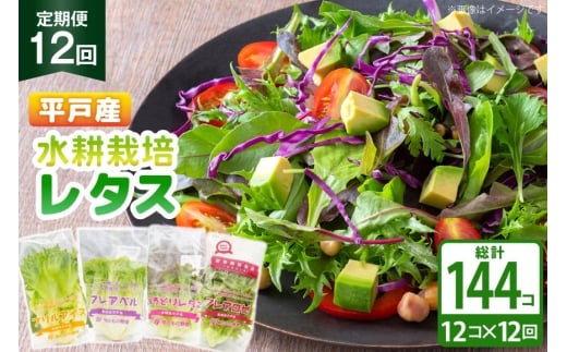 ^X k͔| 4 12 Zbg 12  v144 Hה lߍ킹 [tWt@[ 茧 ˎs hr42bgy420175] T_ Yn    tbV Nu ΉF