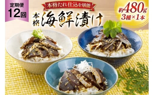 hg Ђ {i CNЂ Zbg 160g 3{ 12  v5.7kg lߍ킹 Hה [悩땨Y 茧 ˎs hr42bgy420101]  Ђ Ⓚ т̂   Ԃ   CN 