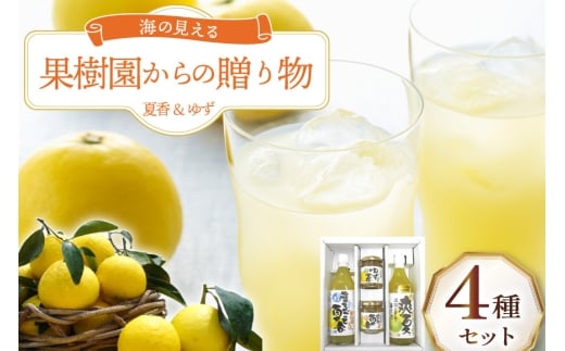 ʕ IW ʎ̑蕨 4 Zbg [Pʉ 茧 ˎs hr42bgy420171] ݂ W[X }[}[h 䂸茧ˎs12000Eʏ`E؈