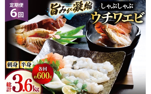 킦 Gr CV hg Ԃ CN 6  E`Grhg 200gEE`Grg 400g Zbg v3.6kg [Ђ΂ 茧 ˎs hr42bgy420030]   CY hg Ⓚ VN