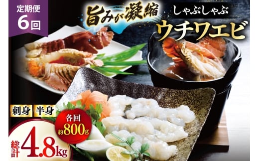 킦 Gr CV hg Ԃ CN 6  E`Grhg 400gEE`Grg 400g Zbg v4.8kg [Ђ΂ 茧 ˎs hr42bgy420357]   CY hg Ⓚ VN