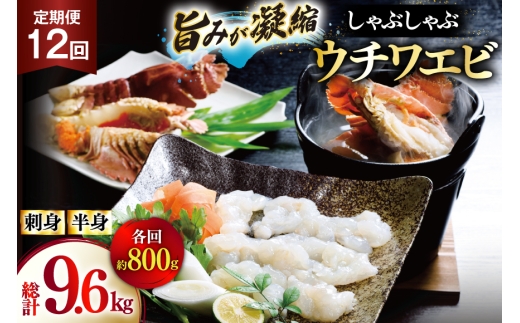 킦 Gr CV hg Ԃ CN 12  E`Grhg 400gEE`Grg 400g Zbg v9.6kg [Ђ΂ 茧 ˎs hr42bgy420363]   CY hg Ⓚ VN