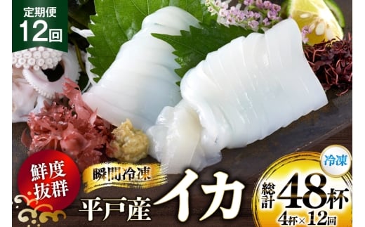 CN  CJ 4t 1pbNiⓀj 12  [ډY 茧 ˎs hr42bgy420351] ܂ VN hg uԗⓀ Ⓚ RR  Ⓚ  ^pbN茧ˎs345600ECY