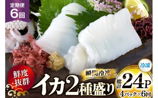 CN  CJ 2퐷í{ Gy E Q\ j 6  [ډY 茧 ˎs hr42bgy420383] ܂ VN hg  Zbg 荇킹 uԗⓀ Ⓚ RR  Ⓚ 